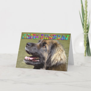Leonberger Geburtstagskarte Karte