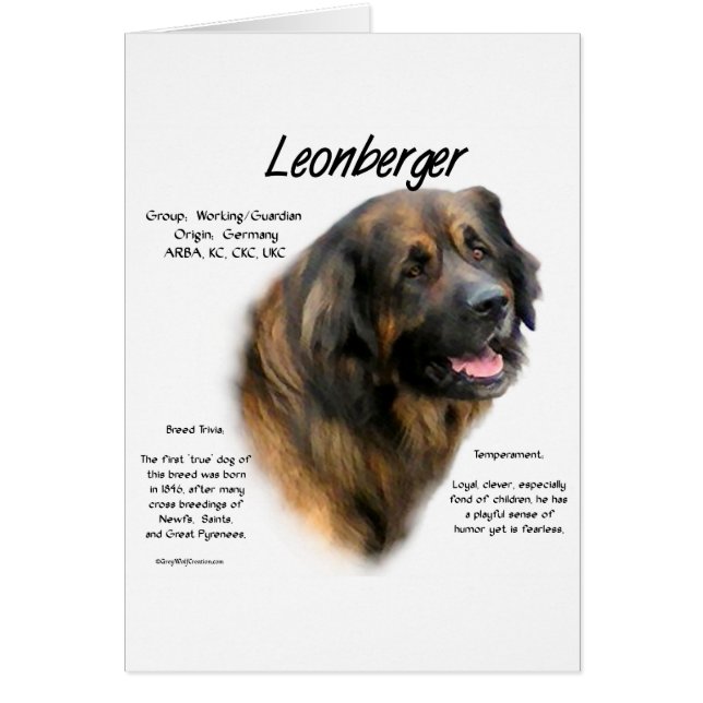 Leonberger Geschichtsdesign (Vorne)