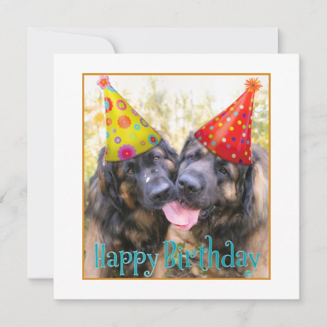 Leonberger Happy Geburtstag Dankeskarte (Vorderseite)