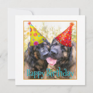 Leonberger Happy Geburtstag Dankeskarte