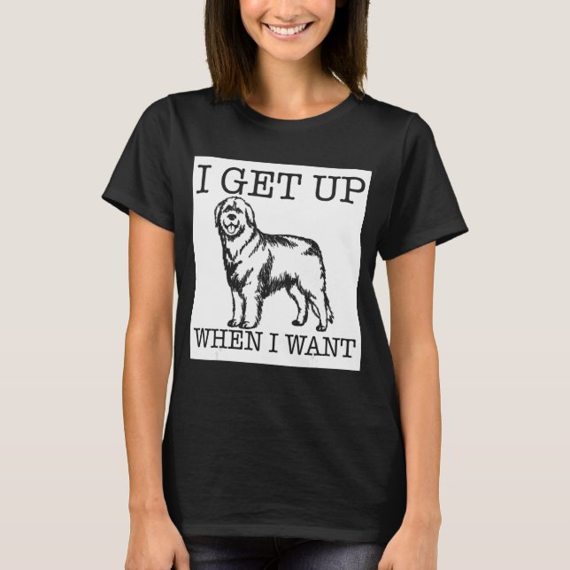 Leonberger Hund 1 T-Shirt (Vorderseite)
