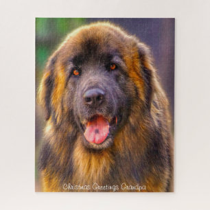 Leonberger Hund. Puzzle