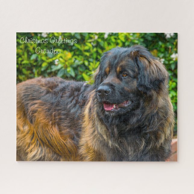 Leonberger Hund. Puzzle (Horizontal)