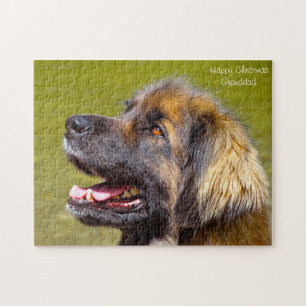 Leonberger Hund. Puzzle