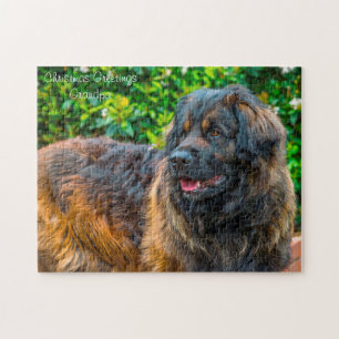 Leonberger Hund. Puzzle