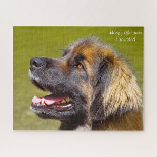 Leonberger Hund. Puzzle