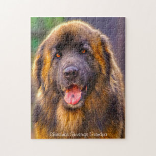 Leonberger Hund. Puzzle