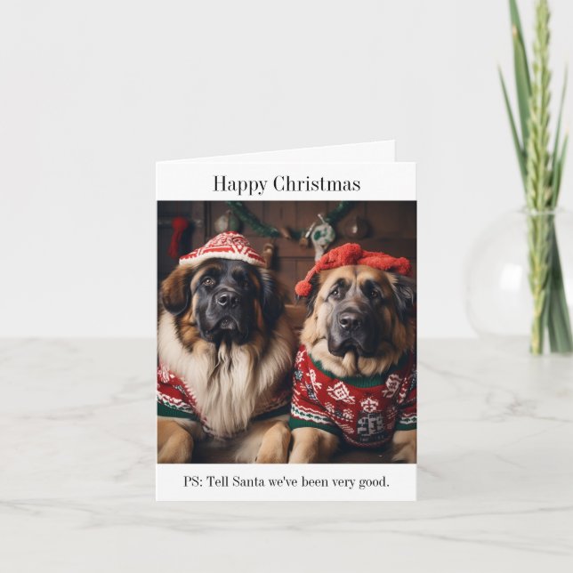 Leonberger Hunde in Weihnachts-Sweaters Karte (Vorderseite)