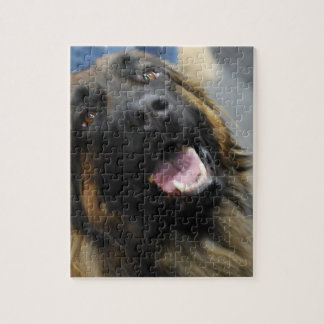 Leonberger Hundezucht Puzzle