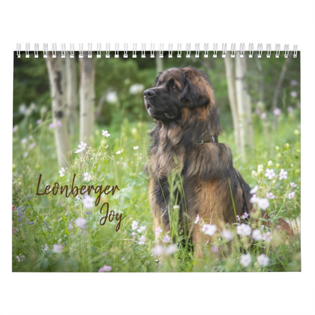 Leonberger Joy Kalender (Titelbild)