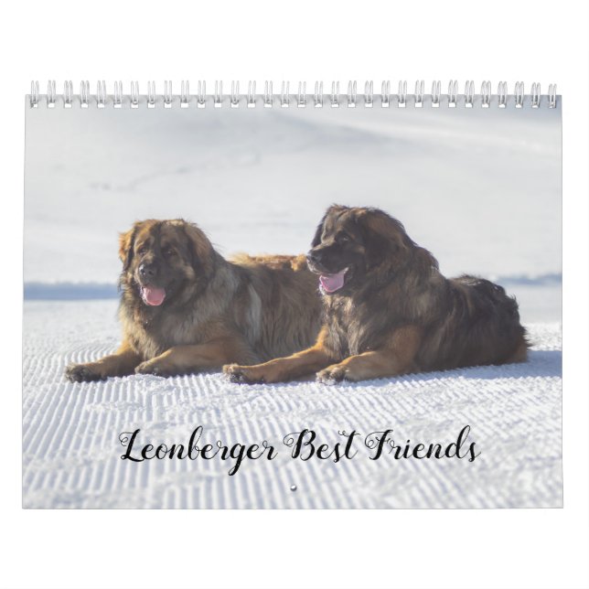 Leonberger Kalender (Titelbild)