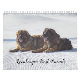 Leonberger Kalender