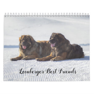 Leonberger Kalender