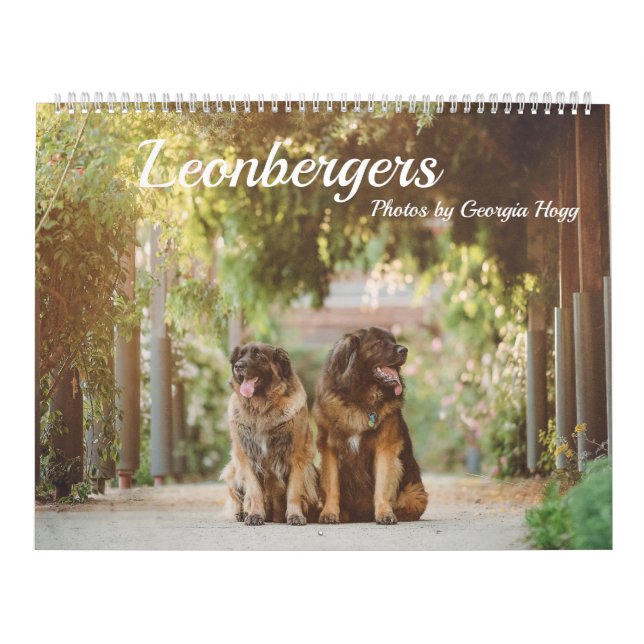 Leonberger Kalender (Titelbild)