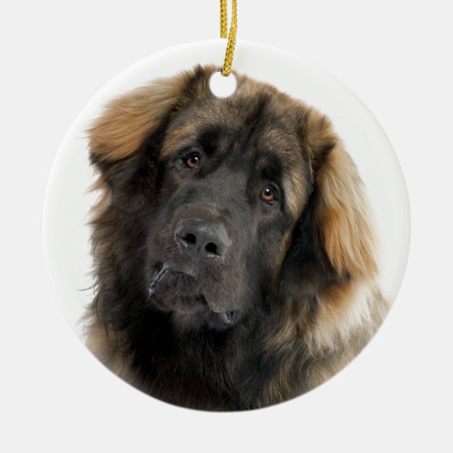 Leonberger Keramik Ornament (Vorne)