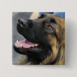 Leonberger Knopf Button