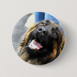 Leonberger Knöpfe Button