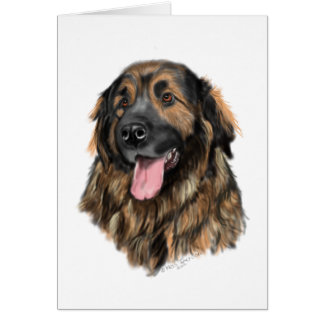 Leonberger Kopf-Studie