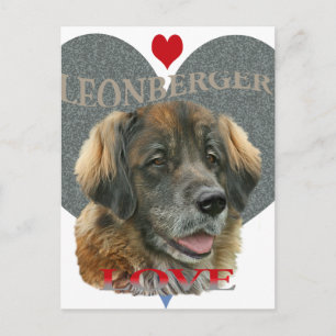 Leonberger Liebe Gift Ideas Postkarte