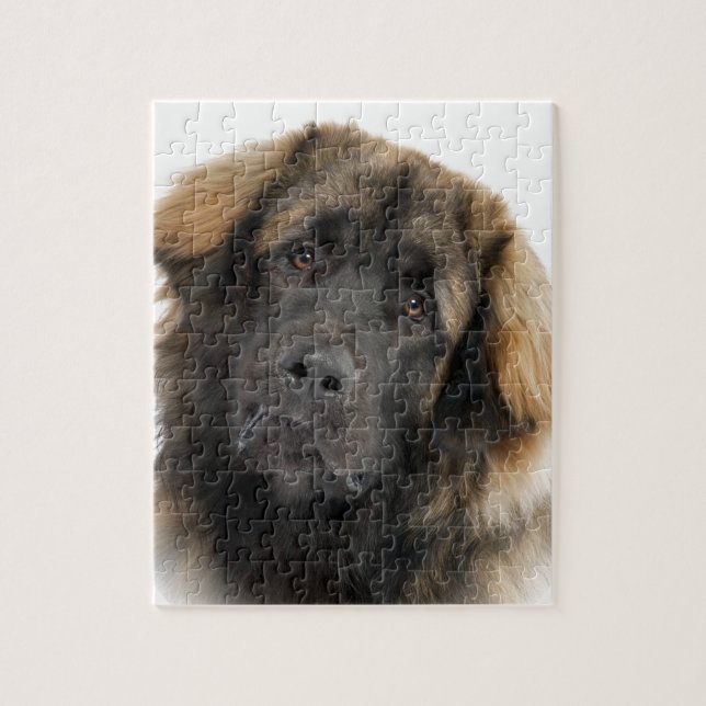 Leonberger Puzzle