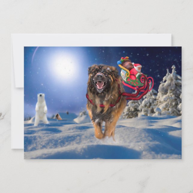 Leonberger rettet Weihnachten flache (Vorderseite)