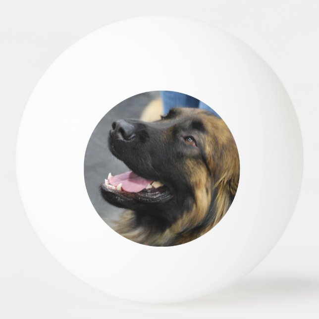 Leonberger Tischtennisball (Vorderseite)