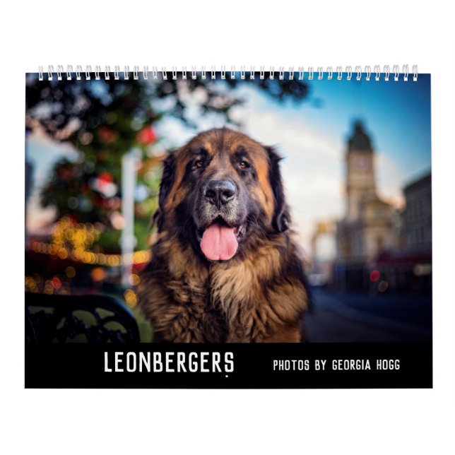 Leonbergers Kalender (Titelbild)