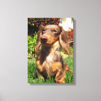 Leonidas Leinwanddruck