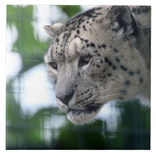Leopard 003 fliese