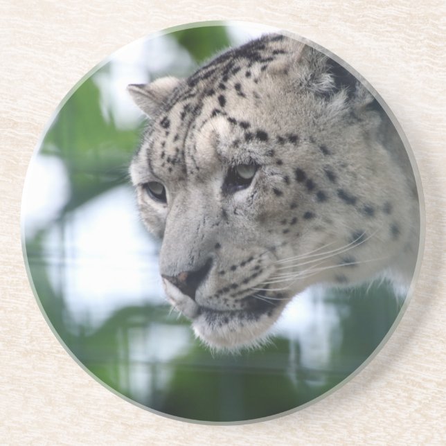 Leopard 003 getränkeuntersetzer (Vorne)