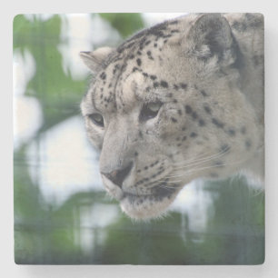 Leopard 003 steinuntersetzer