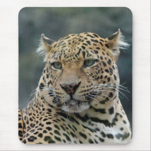 Leopard 006 mousepad