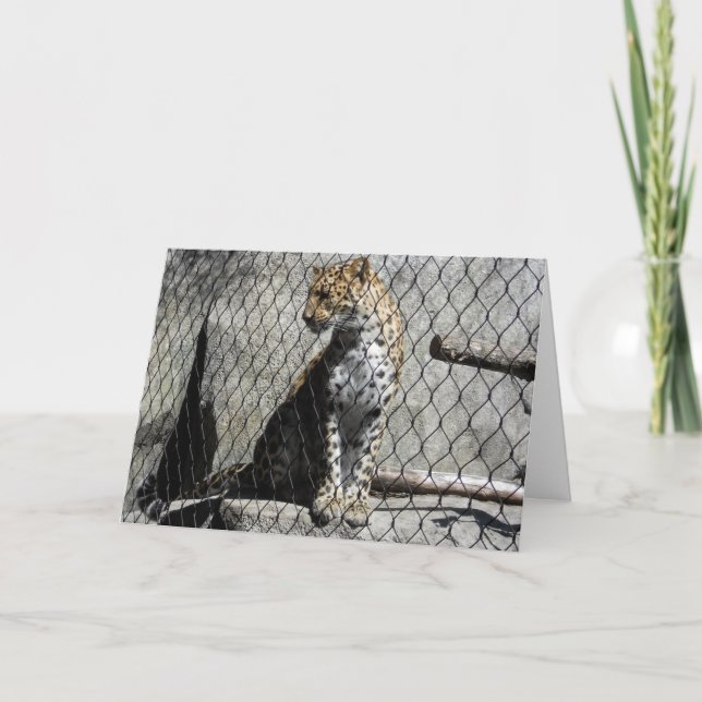 "Leopard #1" Get Well Card Karte (Vorderseite)