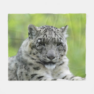Leopard_2015_0310 Fleecedecke