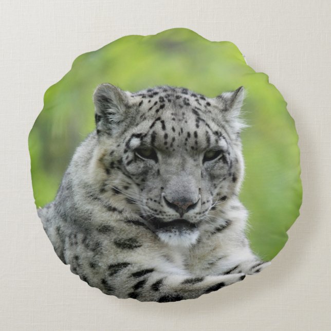 Leopard_2015_0310 Rundes Kissen (Rückseite)