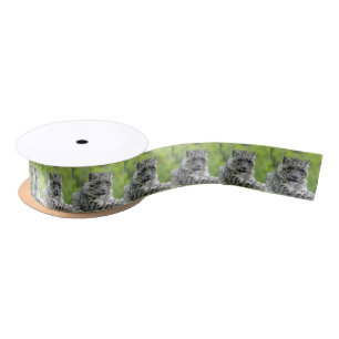 Leopard_2015_0310 Satinband