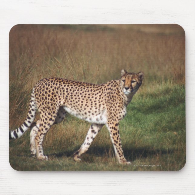Leopard 3 mousepad (Vorne)