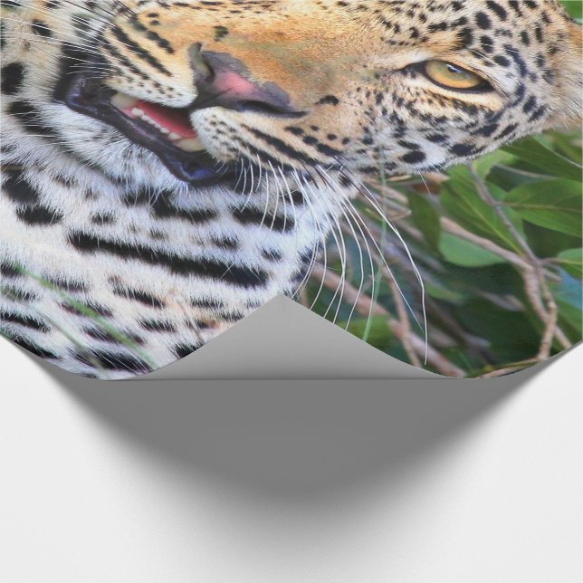 Leopard 6 Wrapping Paper Geschenkpapier (Ecke)