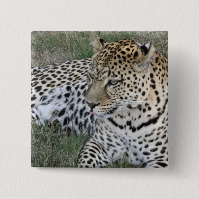 Leopard-Abzeichen Button (Vorderseite)