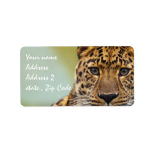 Leopard Adressaufkleber