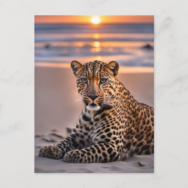 Leopard am Strand Feiertagspostkarte (Vorderseite)