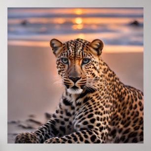 Leopard am Strand Poster