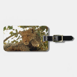 Leopard an der Erholung Gepäckanhänger