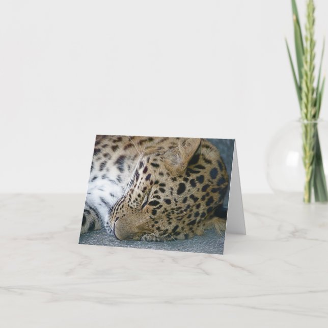 Leopard-Anmerkungs-Karte Karte (Vorderseite)