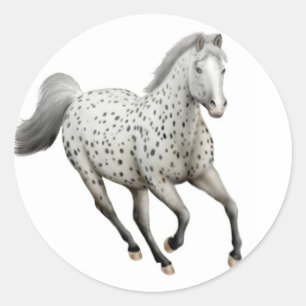 Leopard Appaloosa Horse Galloping Sticker