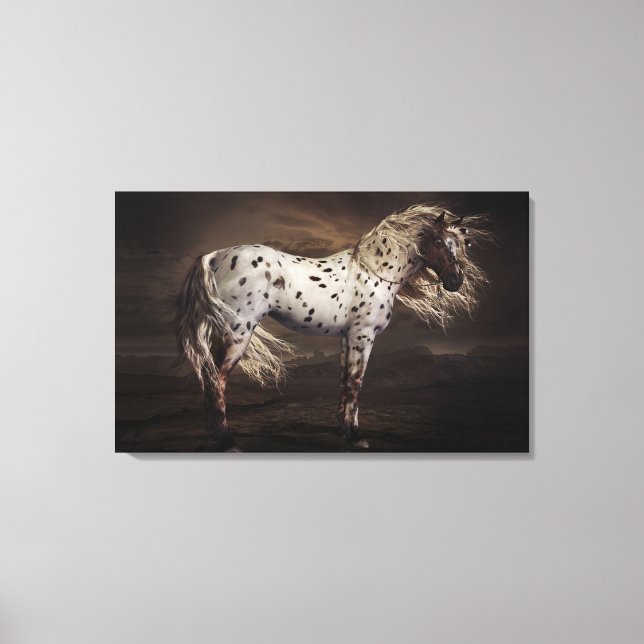 Leopard Appaloosa Stretched Canvas Print Leinwanddruck (Vorderseite)