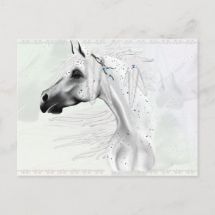 Leopard Appy and White Feathers Postcard Postkarte