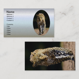 Leopard auf dem Hügel Visitenkarte