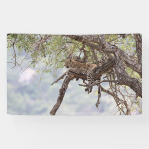Leopard auf einem Baum Banner