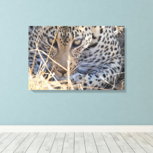 LEOPARD-AUGEN NAHAUFNAHME LEINWANDDRUCK